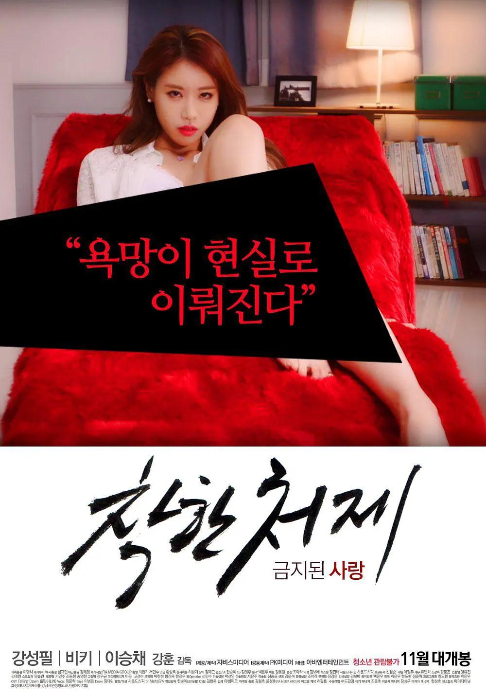禁止的爱：善良的小姨子 (2015) 海报