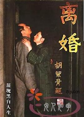 离婚1999 (1999) 海报