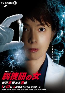 科搜研之女第12季 (2013) 海报