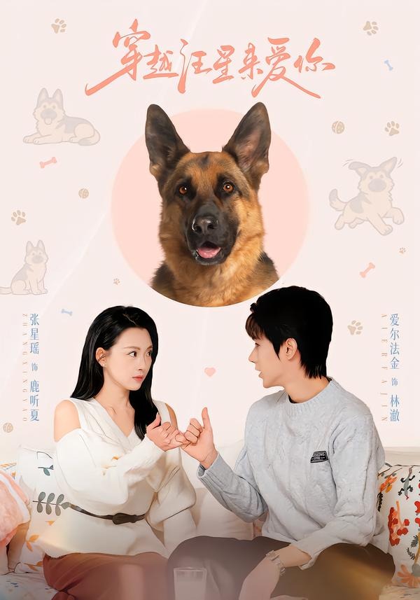 穿越汪星来爱你 (2026) 海报