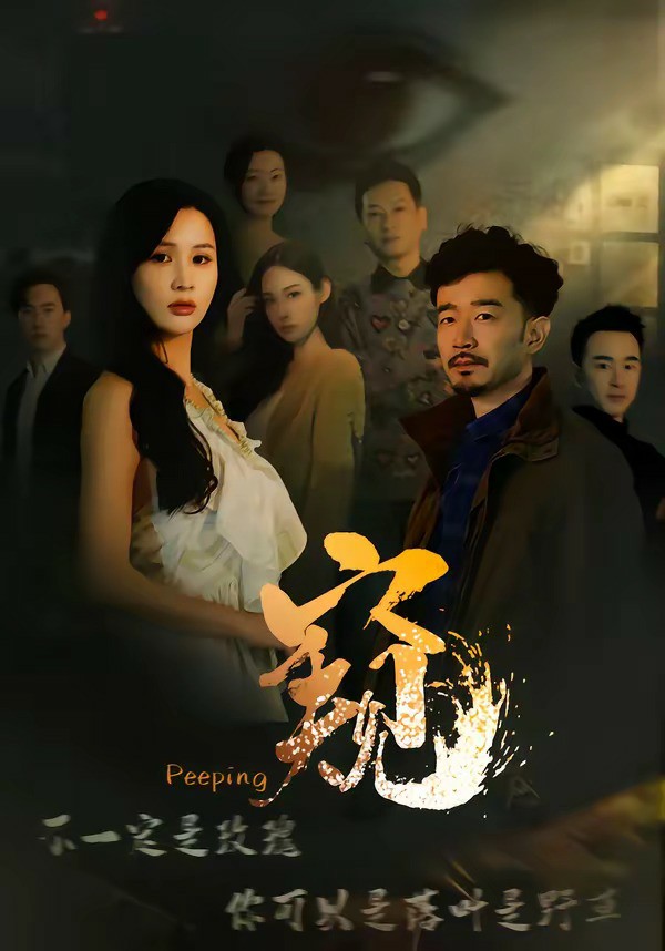 窥 (2026) 海报