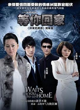 等你回家2013 (2013) 海报