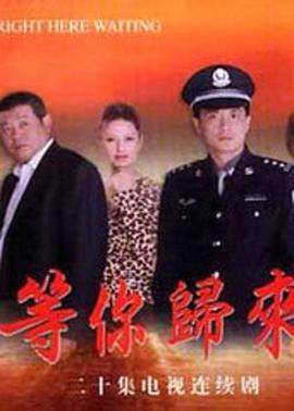 等你归来 (2001) 海报