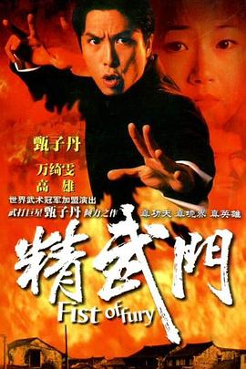 精武门1995国语 (1995) 海报