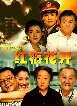 红梅花开 (2007) 海报