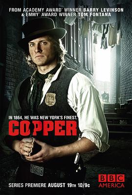 纽约警察故事第一季 (2012) 海报