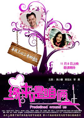 缘来是咱俩 (2010) 海报