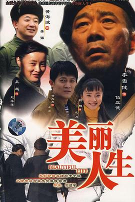 美丽人生 (2008) 海报