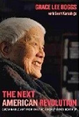 美国革命家：陈玉平的演进 (2013) 海报