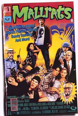 耍酷一族 (1995) 海报