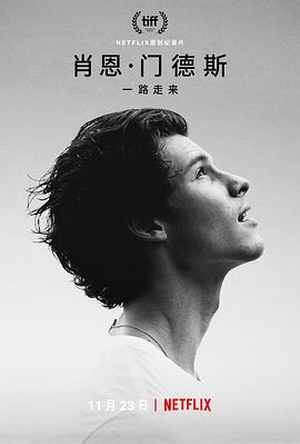 肖恩·门德斯：一路走来 (2020) 海报