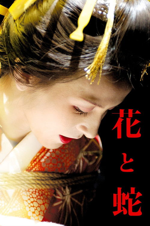 花与蛇 (2004) 海报