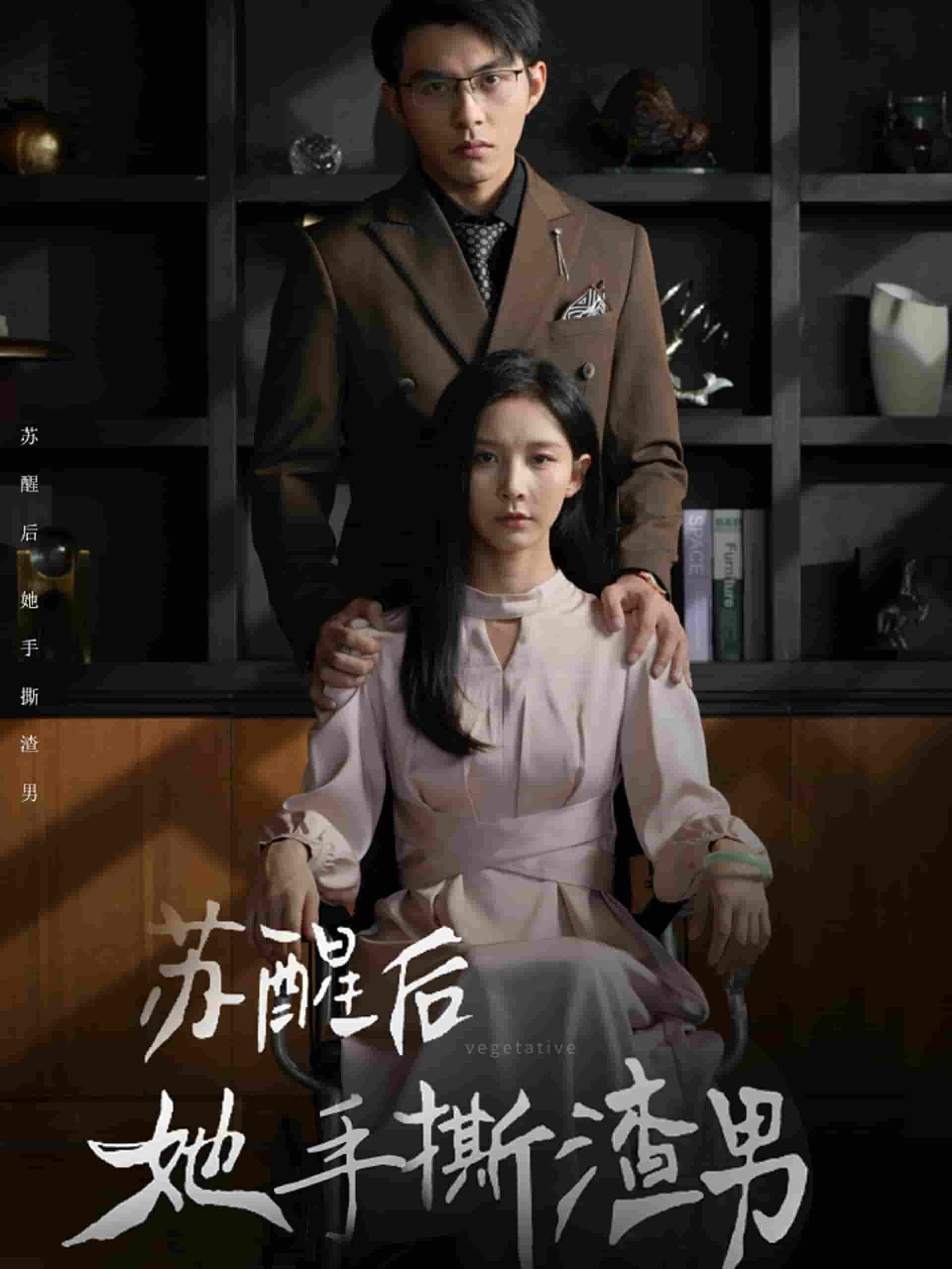 苏醒后她手撕渣男 (2024) 海报