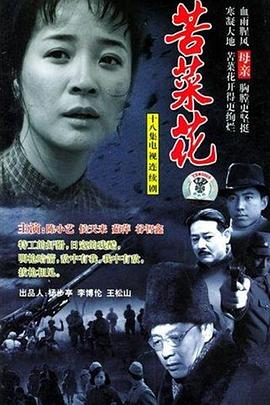 苦菜花2004 (2004) 海报