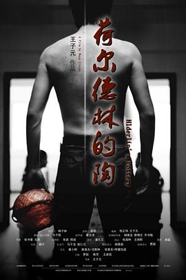 荷尔德林的陶 (2011) 海报