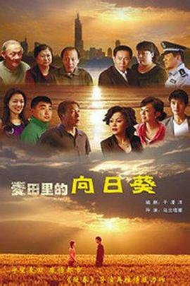 葵花进城 (2010) 海报