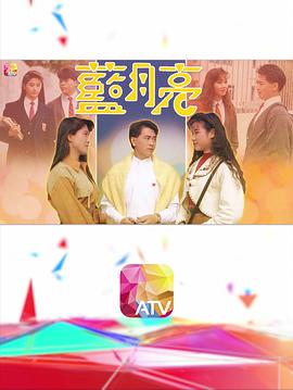蓝月亮粤语 (1990) 海报