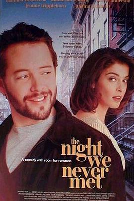 表错一夜情 (1993) 海报