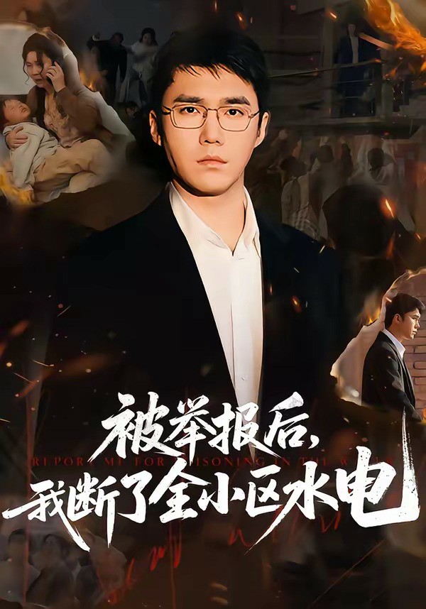 被举报后，我断了全小区水电 (2026) 海报