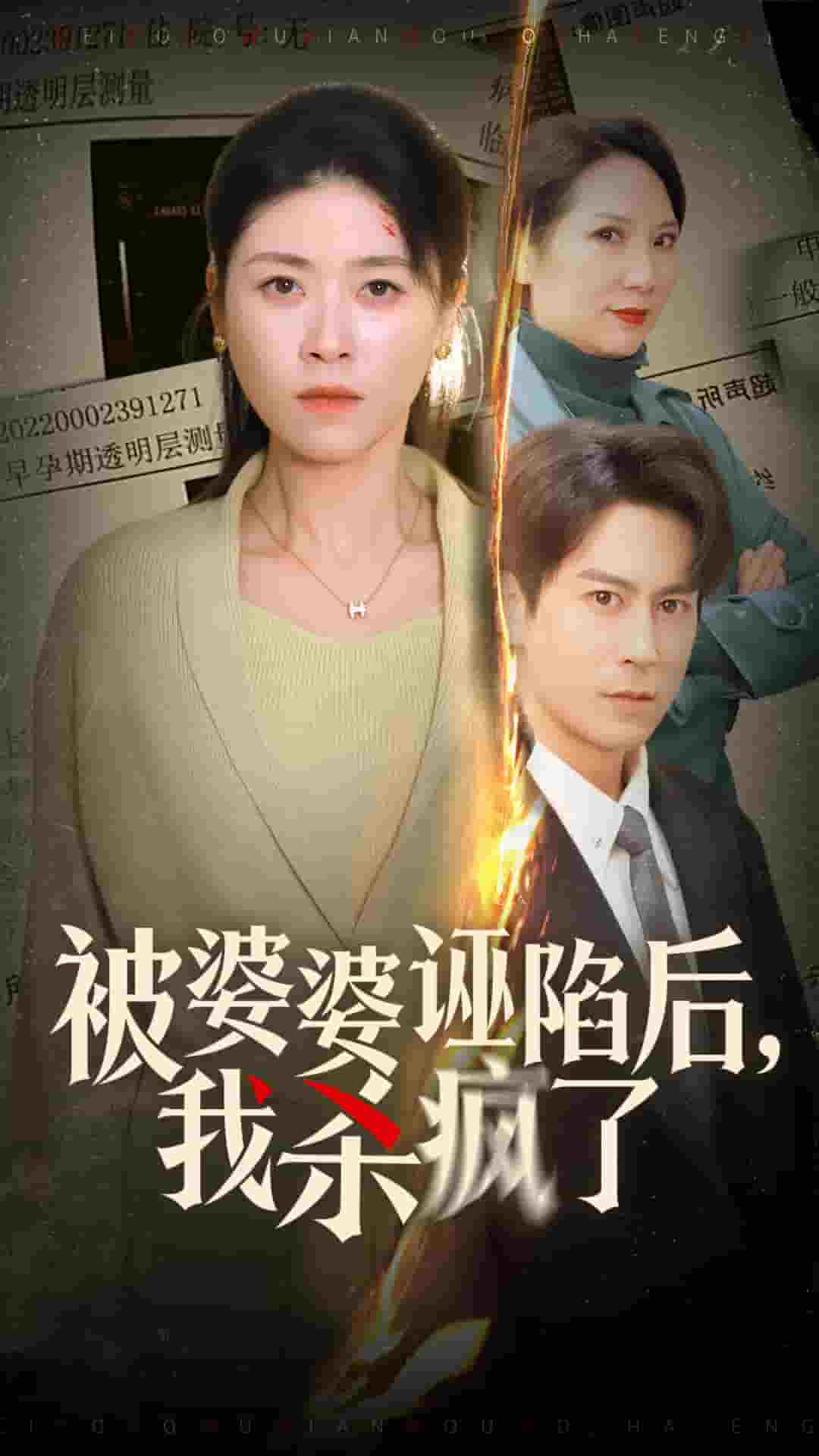 被婆婆诬陷后我杀疯了 (2025) 海报