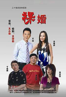 裸婚 (2010) 海报
