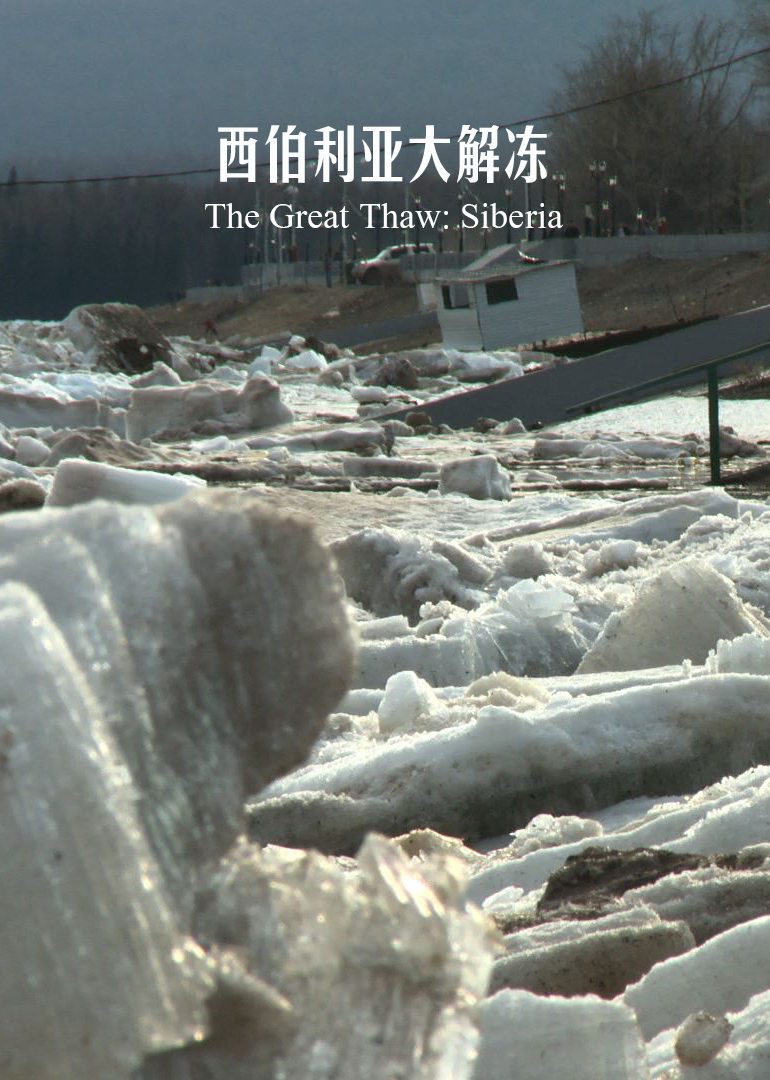 西伯利亚大解冻 (2016) 海报