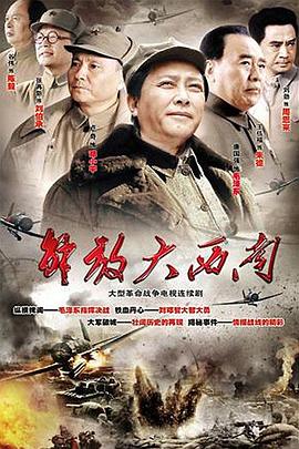 解放大西南 (2010) 海报