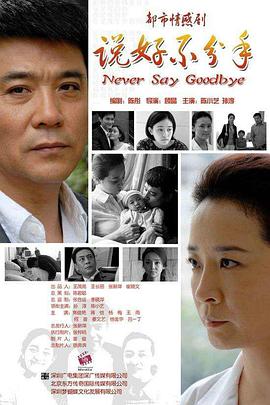 说好不分手 (2011) 海报