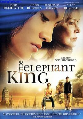 象王 (2007) 海报