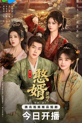 贤婿之憨婿 (2026) 海报
