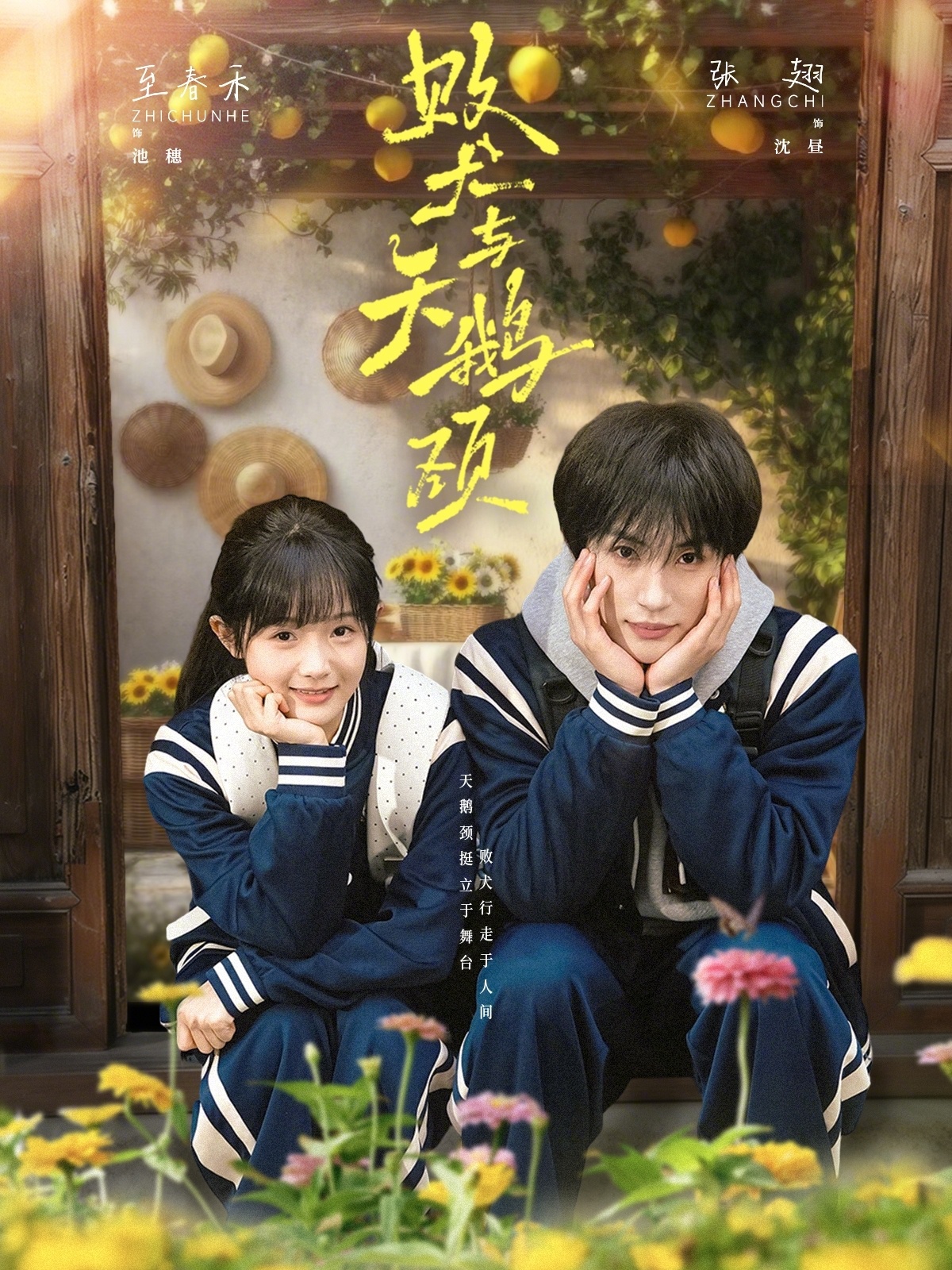 败犬与天鹅颈 (2026) 海报