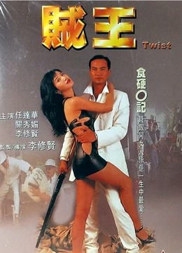 贼王 (1995) 海报