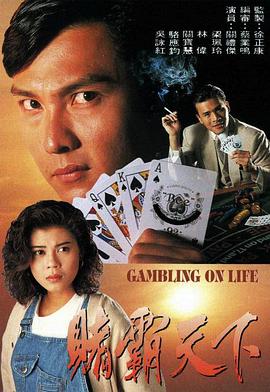 赌霸天下国语1993 (1993) 海报
