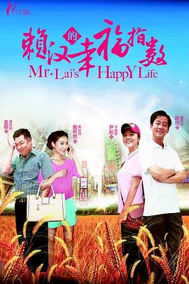赖汉的幸福指数 (2013) 海报