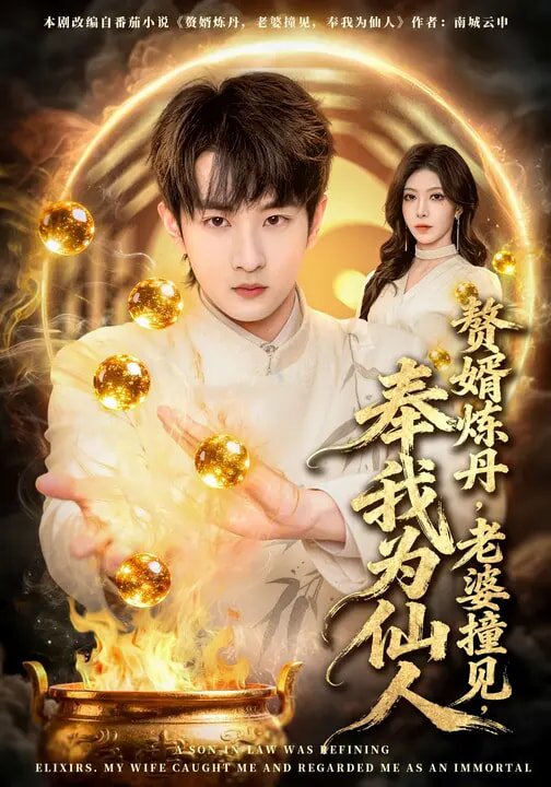 赘婿炼丹，老婆撞见，奉我为仙人 (2026) 海报