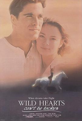 跃马英雄 (1991) 海报