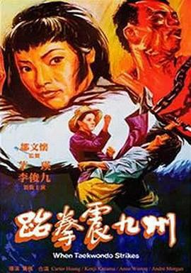 跆拳震九州 (1973) 海报