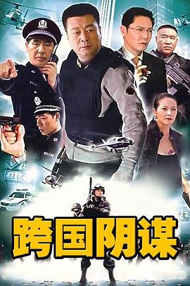 跨国阴谋 (2010) 海报