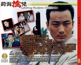 跨海擒兇 (2003) 海报