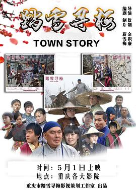 踏雪寻梅 (2014) 海报