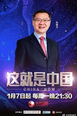 这就是中国 (2025) 海报
