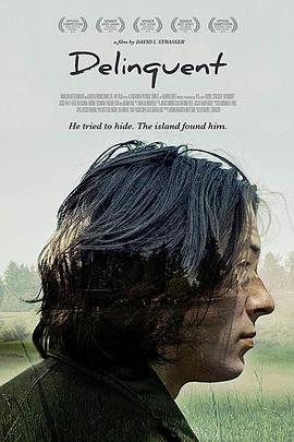 迷途知返 (2016) 海报
