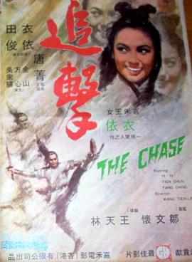 追击1971 (1971) 海报