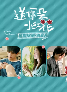 送你一朵小红花 · 特别纪录最终集 海报