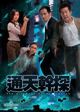 通天干探粤语 (2007) 海报