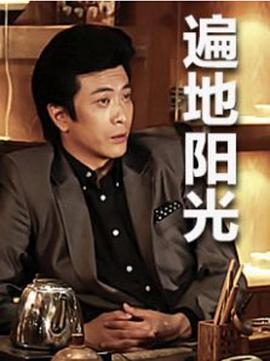 遍地阳光 (2013) 海报