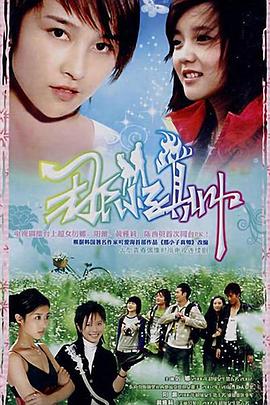那小子真帅 (2008) 海报