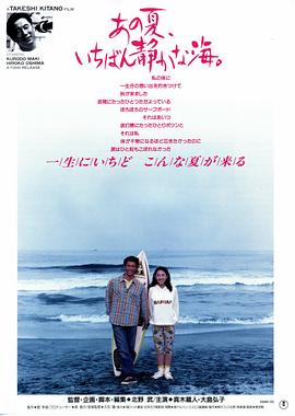那年夏天，宁静的海 (1991) 海报