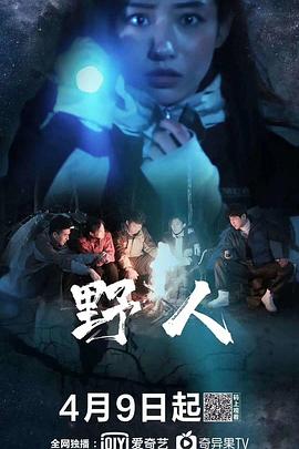 野人2020 (2020) 海报