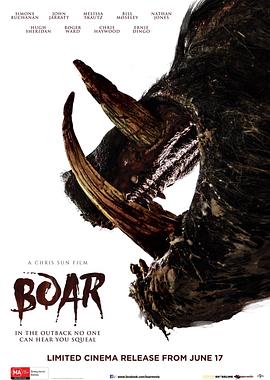 野猪 (2017) 海报